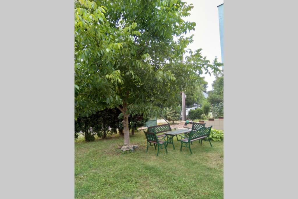 Hannah - Relax Dom Pod Orechom Apartman2 Travnica Экстерьер фото