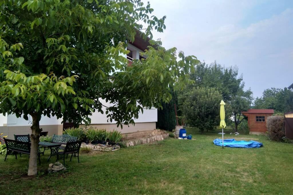 Hannah - Relax Dom Pod Orechom Apartman2 Travnica Экстерьер фото